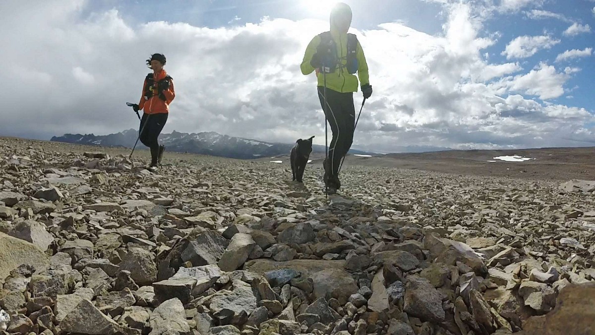 Trail running with dog - Dientes de Navarino