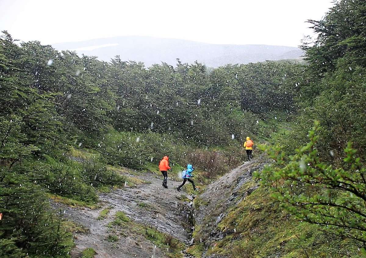 Monte Tarn summer snow storm